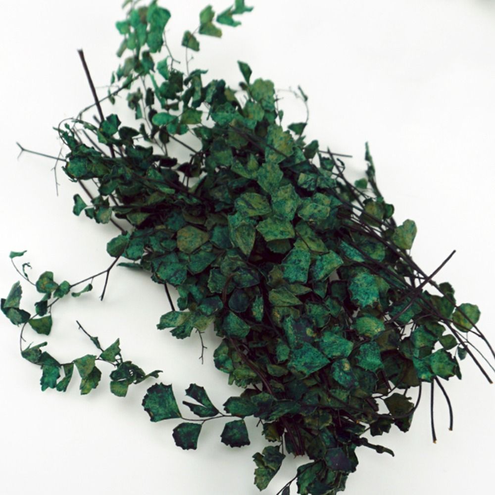 Miniature Plant Creepers Simul - Outdoor Furniture Rh avaliação e preço